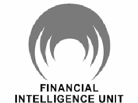 financial intelligence unit